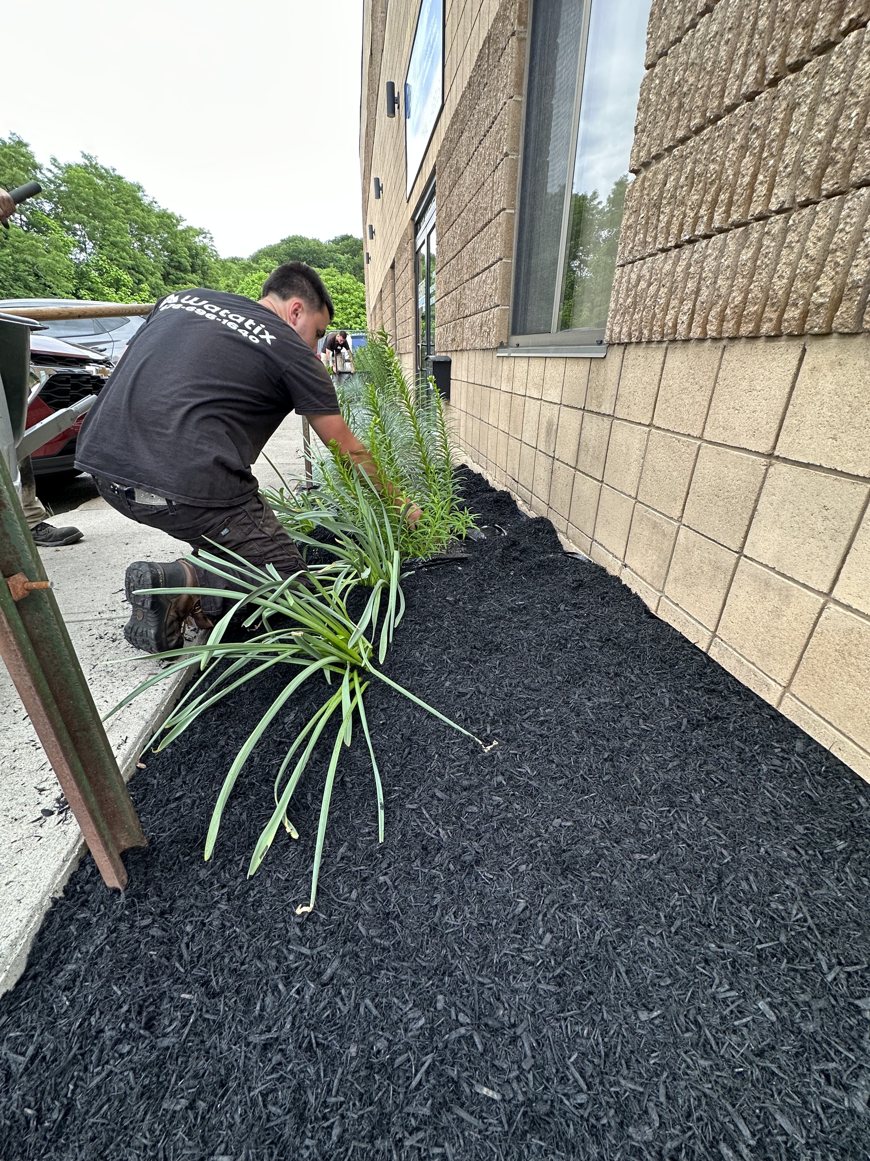 Landscaping mulch project - Watatix Landscaping