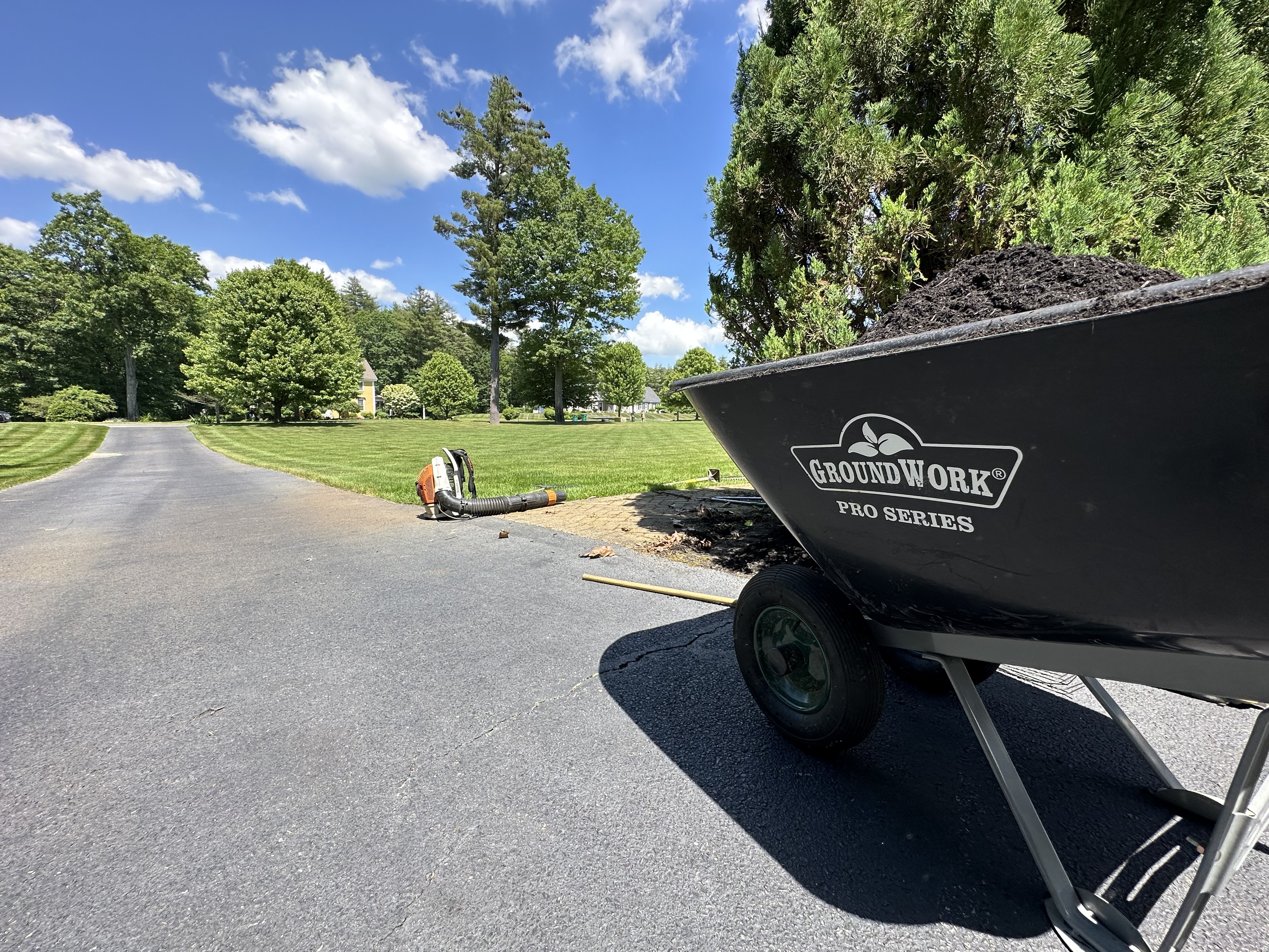 Landscaping cleanup - Watatix Landscaping
